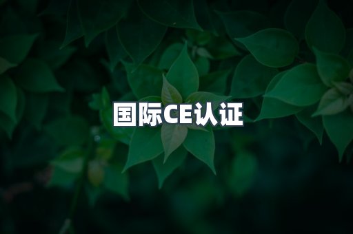 国际CE认证